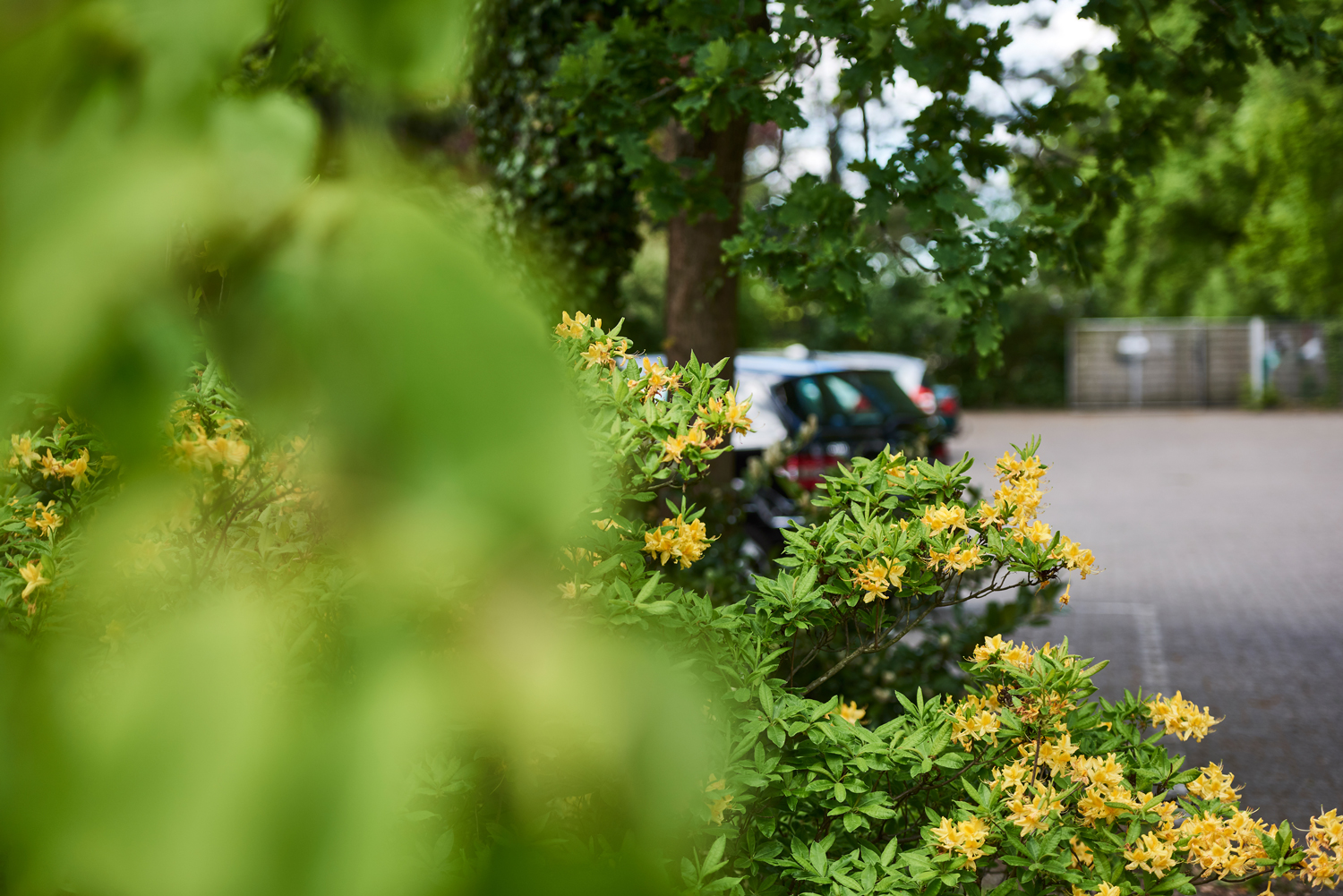 parkplatz
